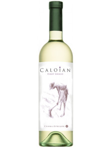 Caloian Pinot Grigio 2021 | Crama Oprisor | Plaiurile Drancei